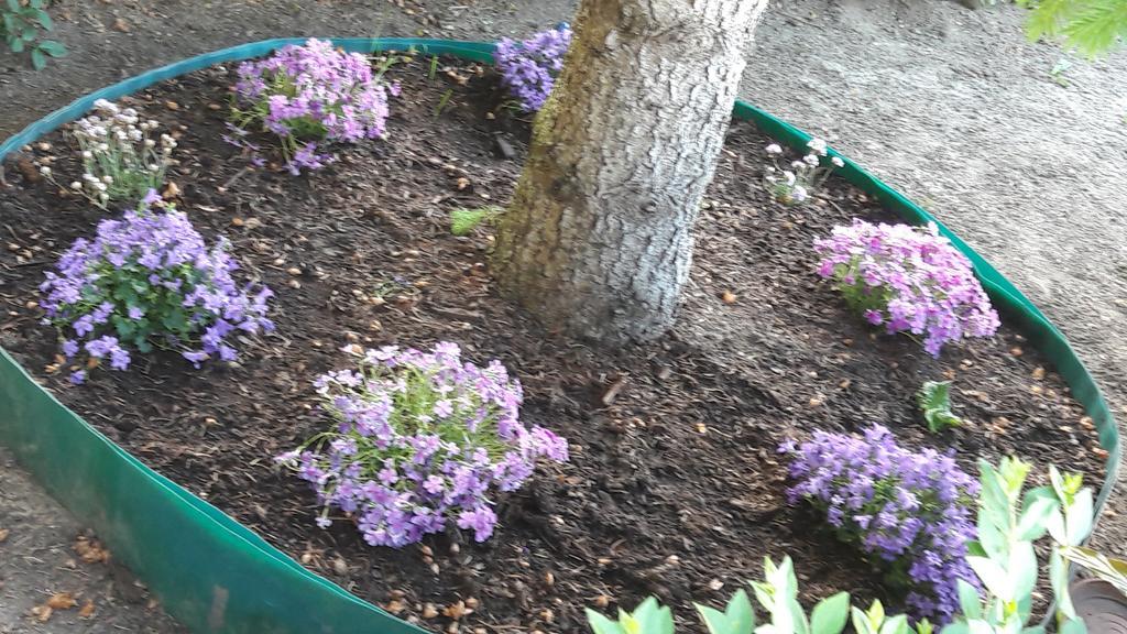 Szaloky Apartmanhaz Gyenesdiás Exteriör bild